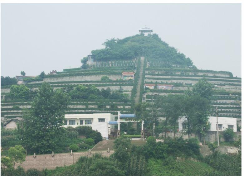内江市市中区青龙山墓园园区图片