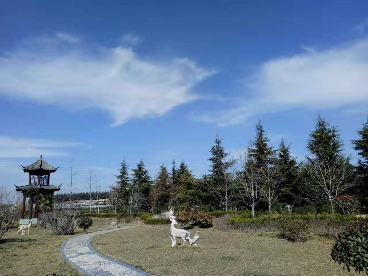 洛阳市瀍河区盘龙冢园林生态陵园园区图片
