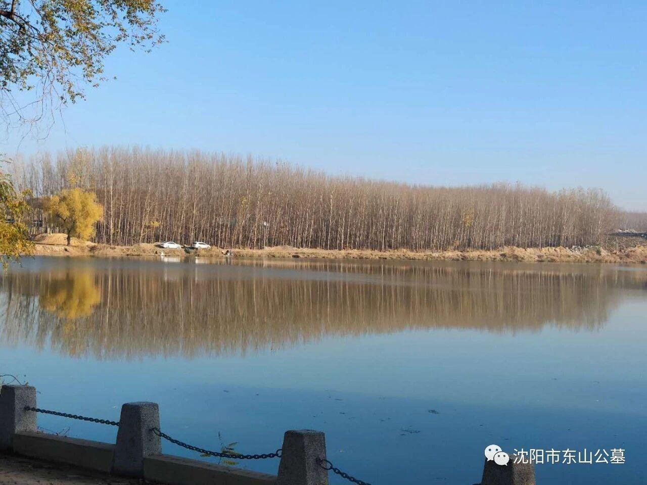 东山墓园园区图片