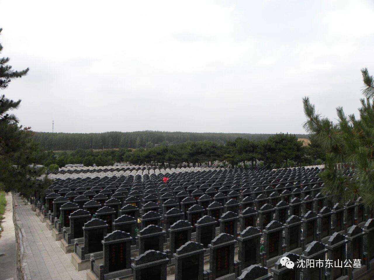 东山墓园园区图片