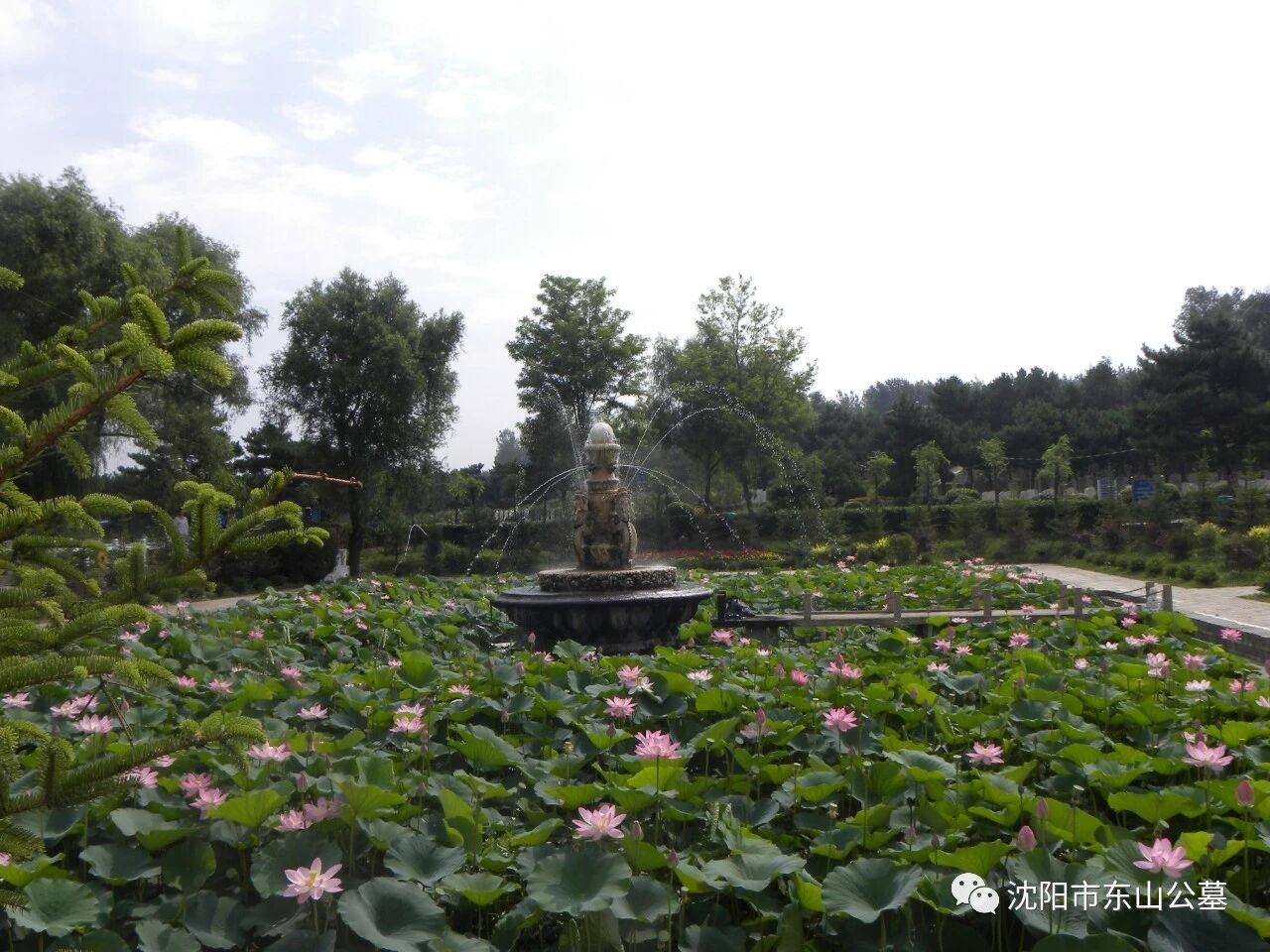 东山墓园园区图片