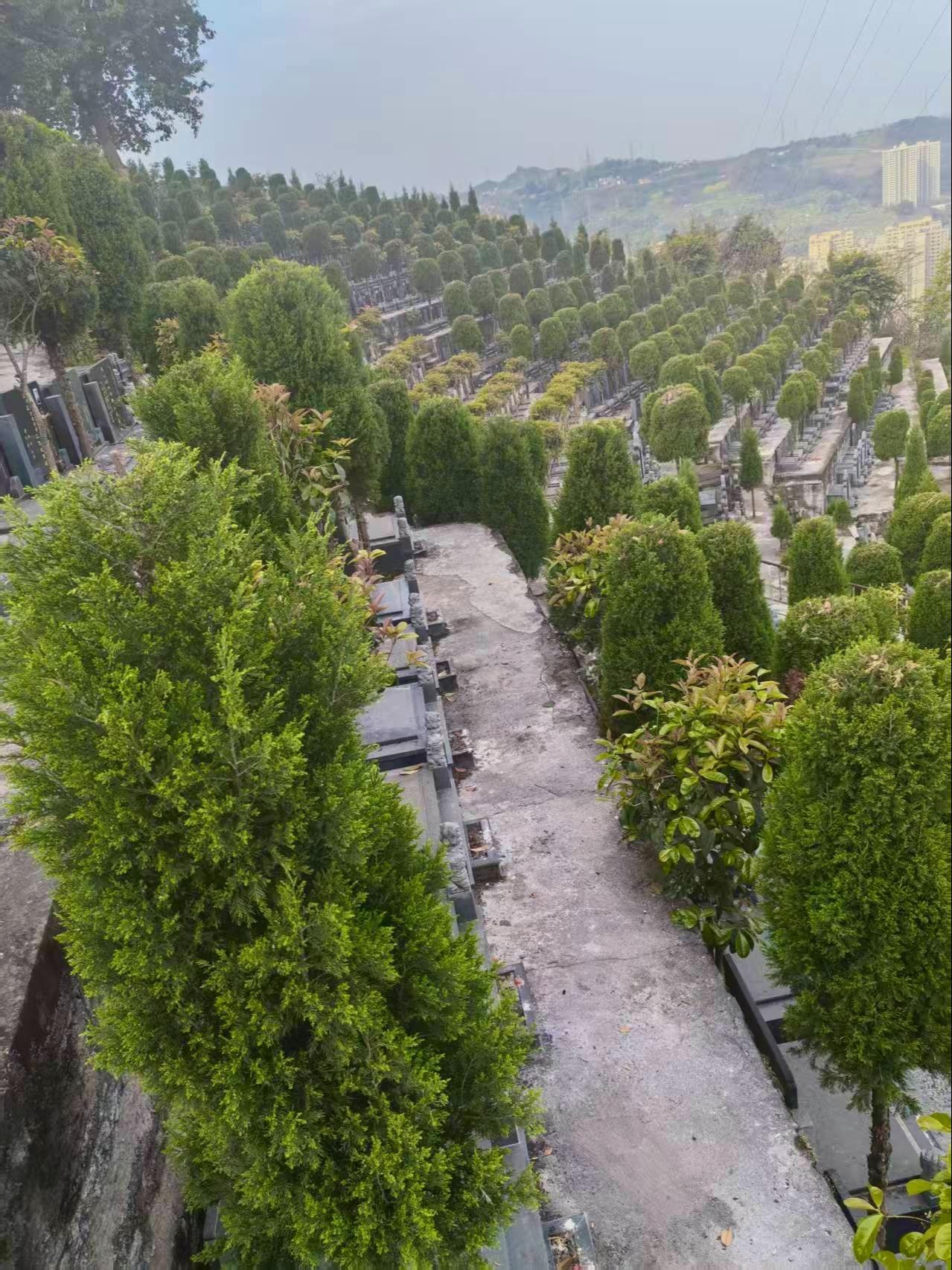 重庆市白马山公墓管理有限公司园区图片