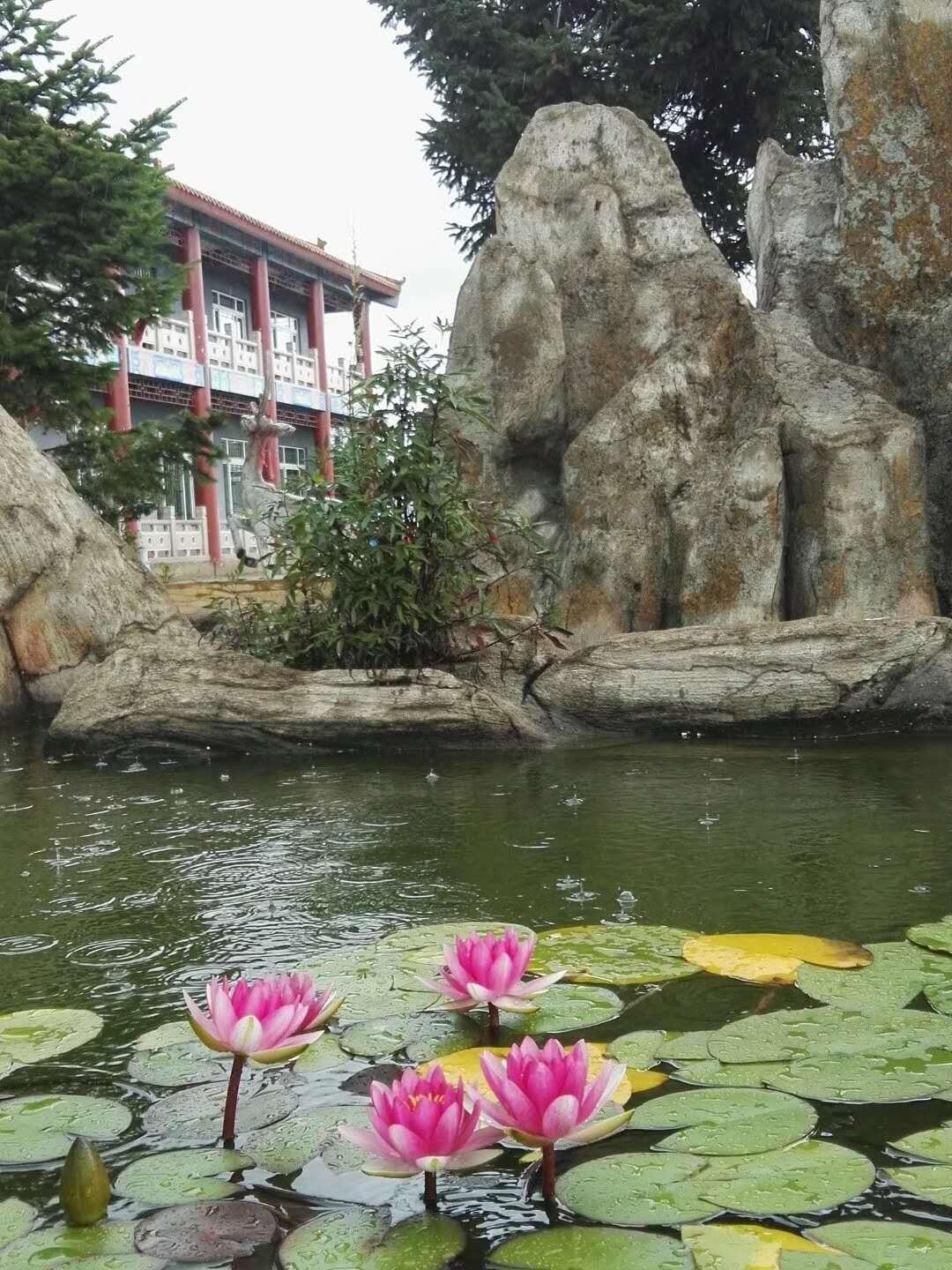 沈阳市卧龙墓园园区图片