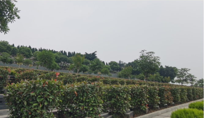 重庆市金鳌山陵园有限公司园区图片