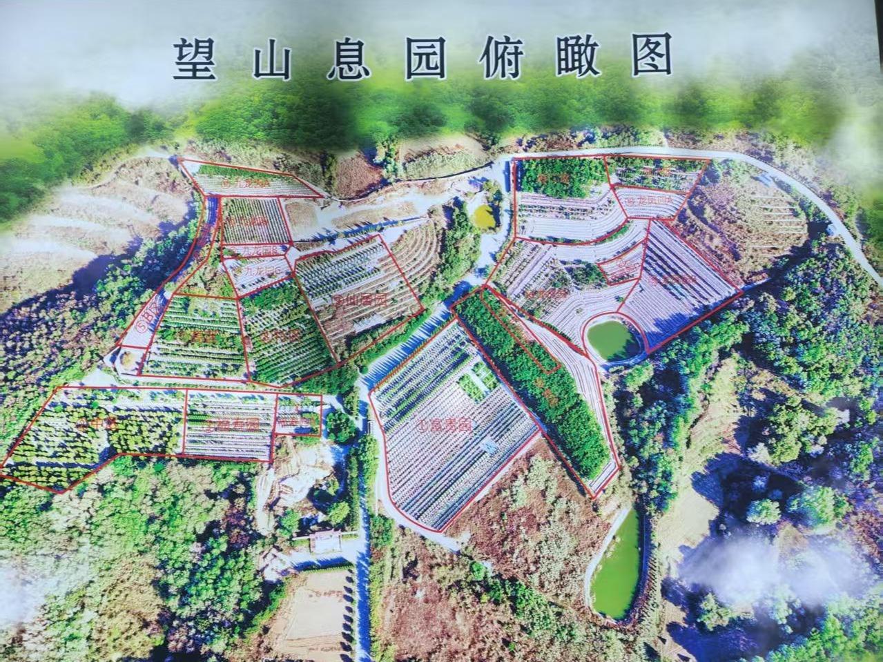 大石桥市望山息园园区图片