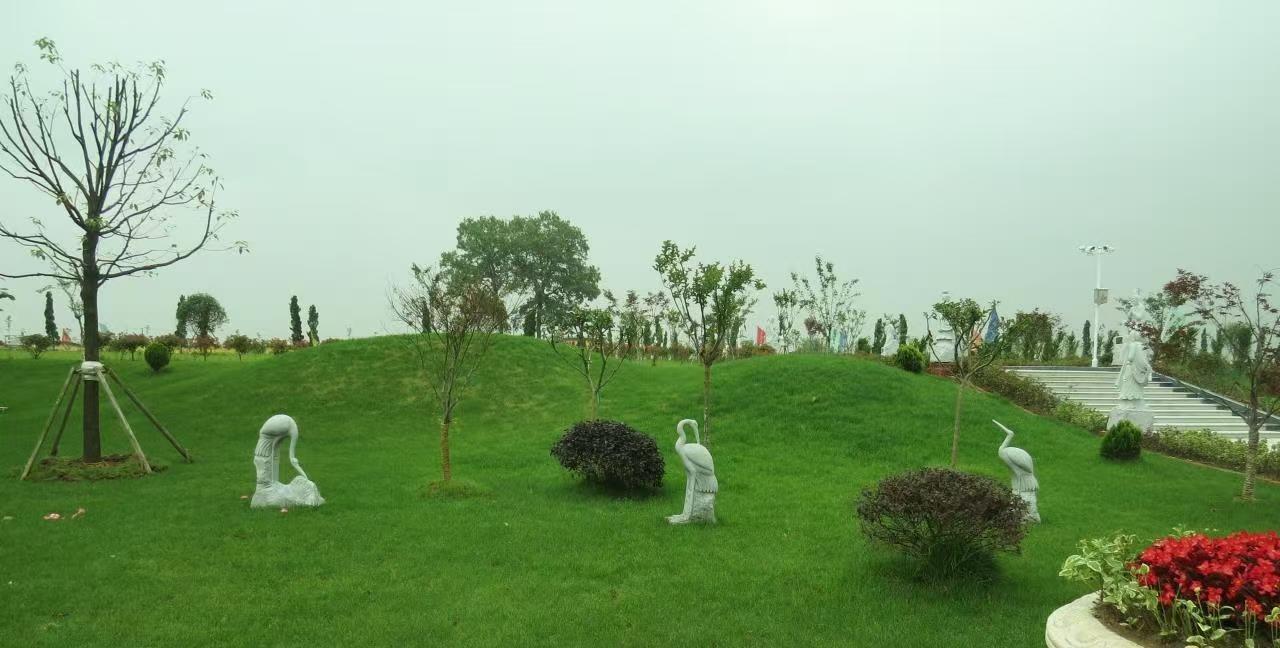 天长市福寿陵园有限公司园区图片