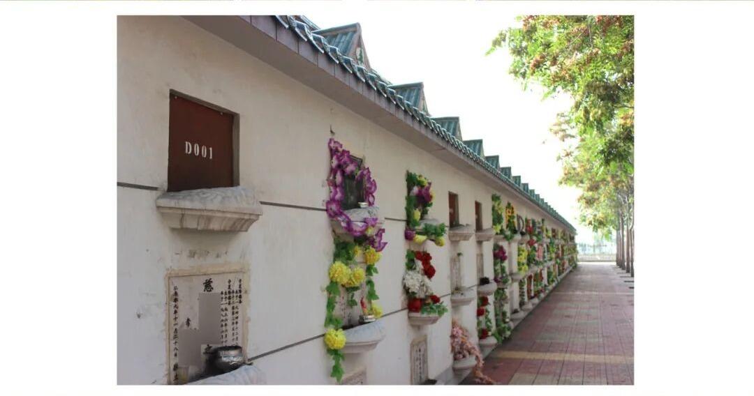 石嘴山市青山陵园园区图片
