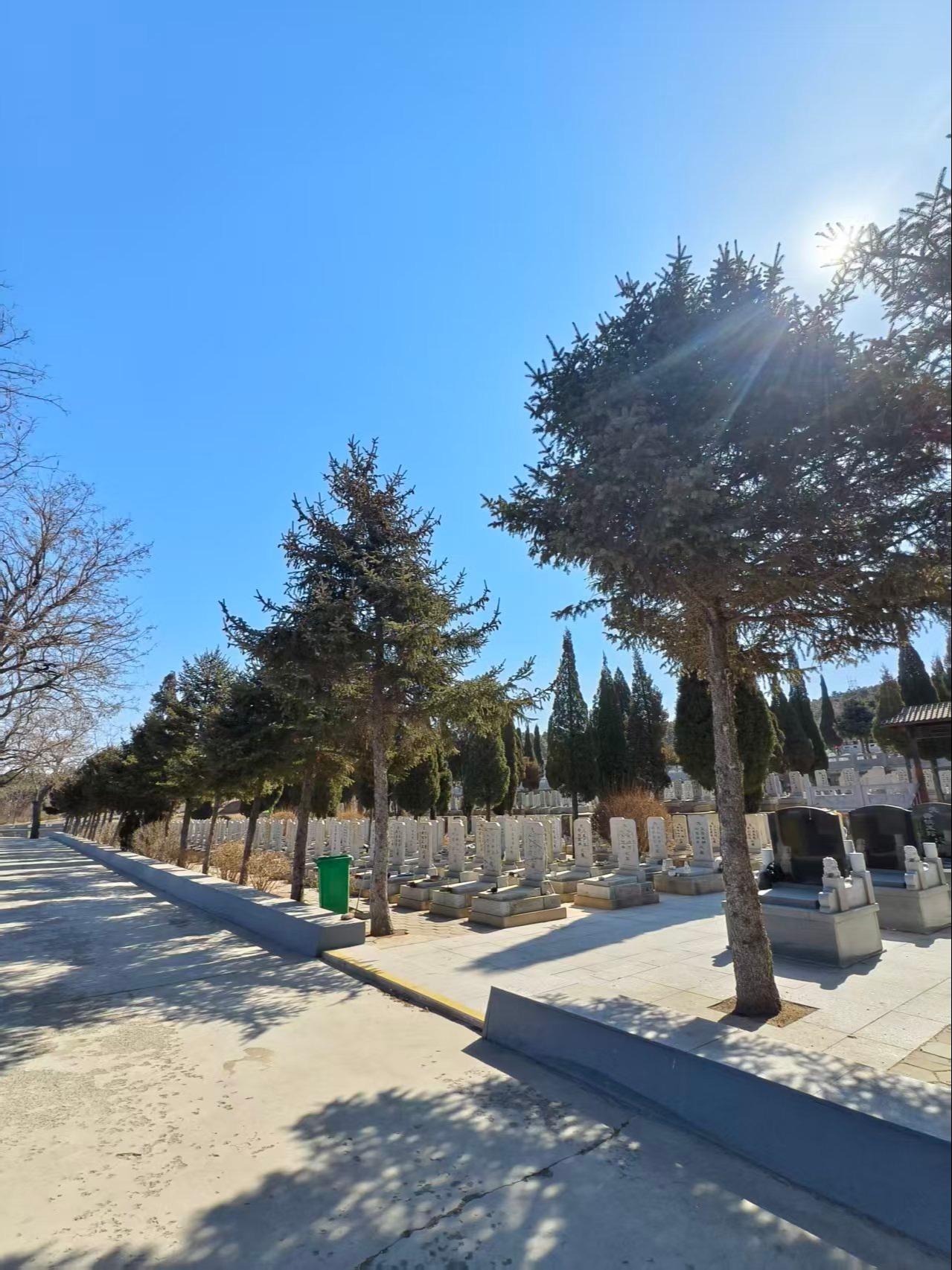 阜新市太平区南山纪念园(骨灰林)园区图片