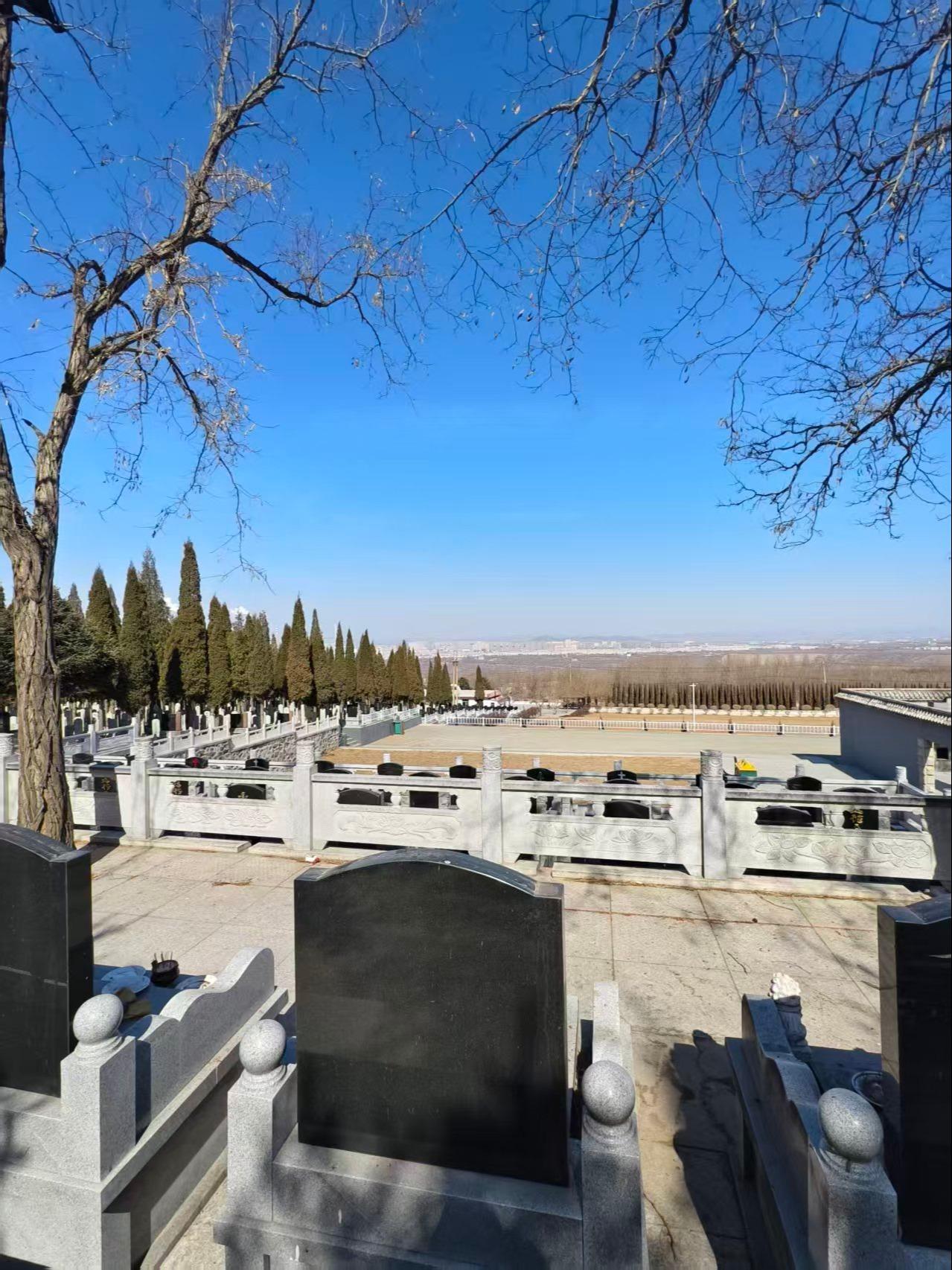阜新市太平区南山纪念园(骨灰林)园区图片