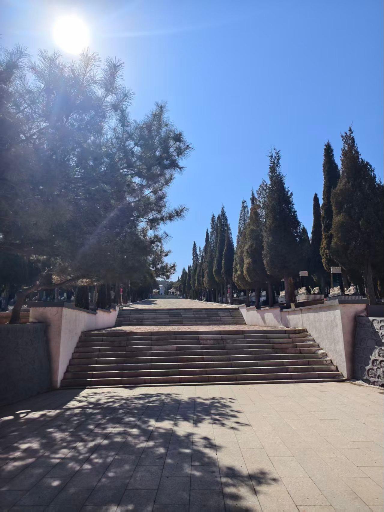 阜新市太平区南山纪念园(骨灰林)园区图片
