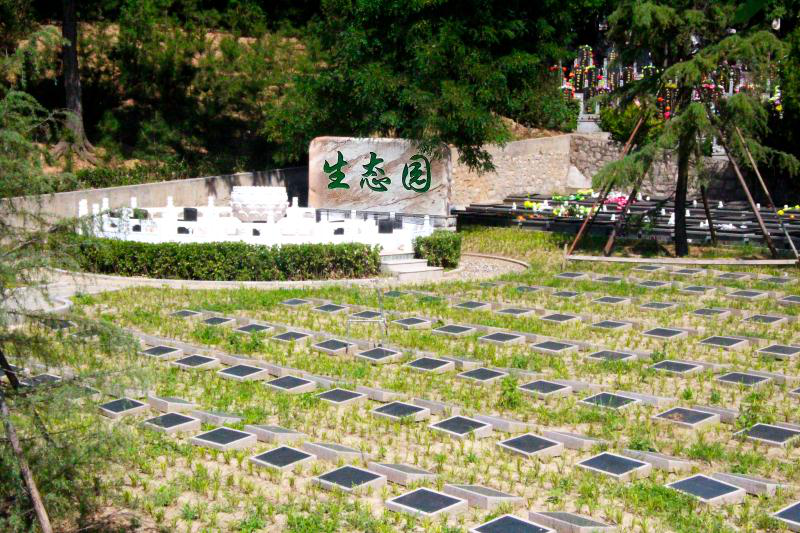 北京市昌平区佛山陵园园区图片
