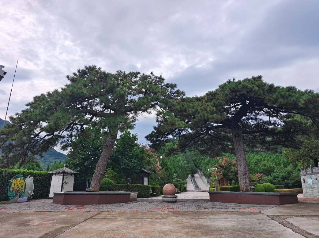 温泉墓园园区图片