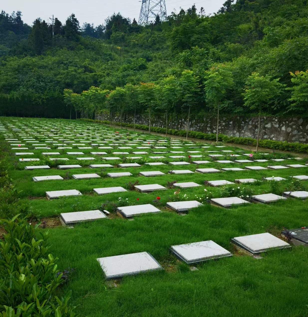 丹江口市二龙山公墓园区图片