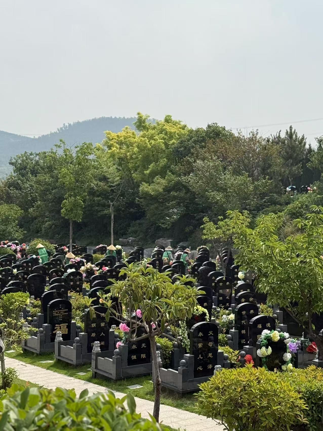 徐州市殡葬管理服务中心茅村公墓管理所园区图片