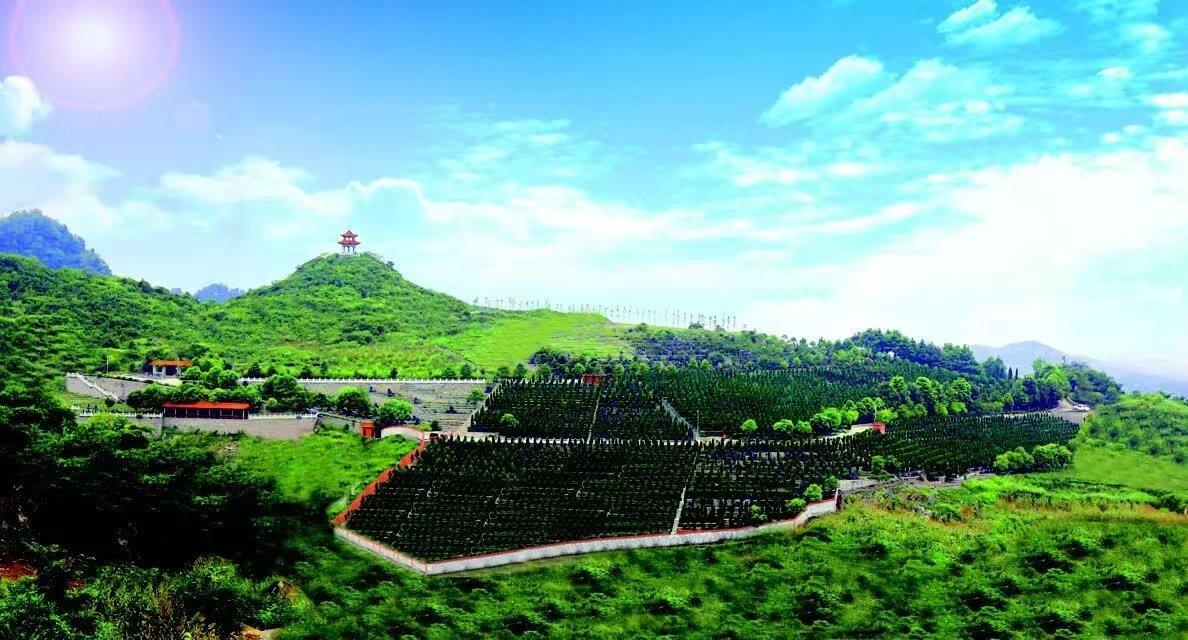 遵义碧天园狮子山艺术陵园园区图片
