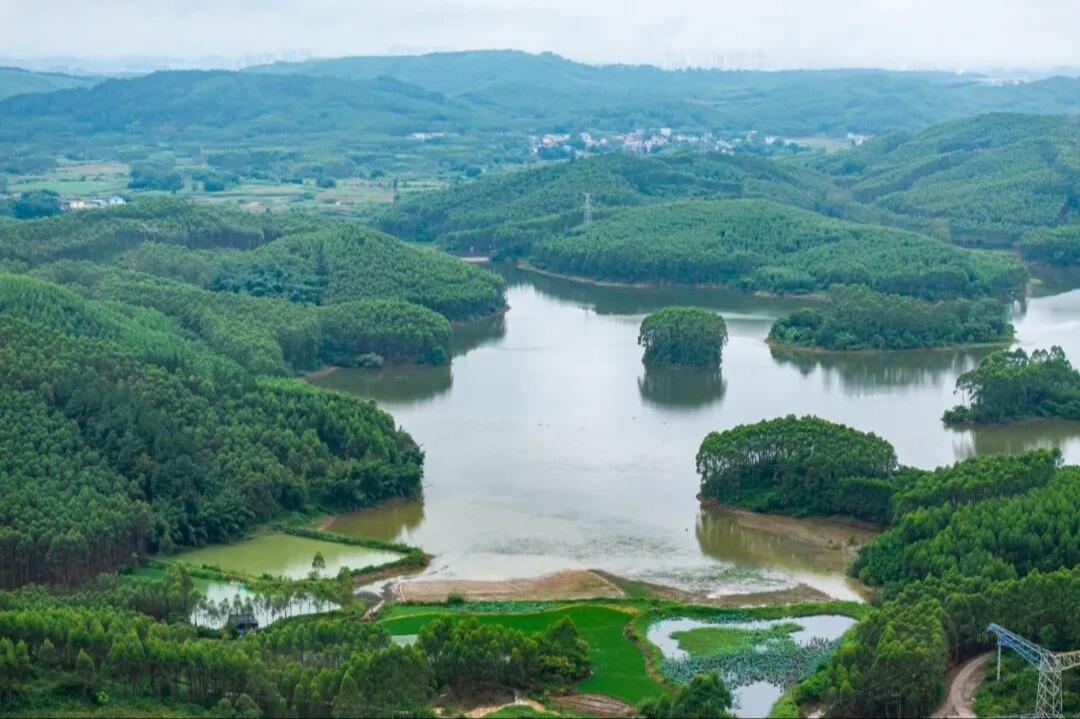 柳州市龙岭陵园殡葬服务有限公司园区图片