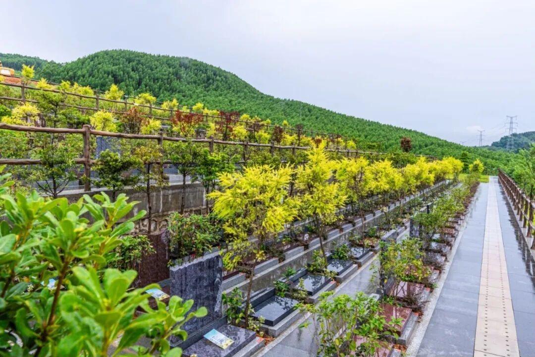 柳州市龙岭陵园殡葬服务有限公司园区图片