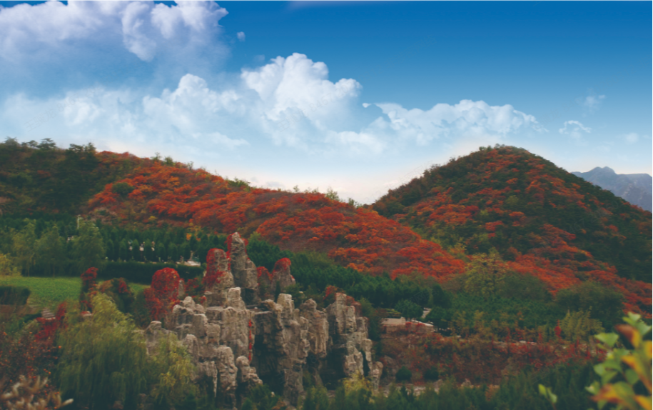 北京景仰园殡葬服务有限公司园区图片