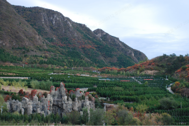 北京景仰园殡葬服务有限公司园区图片