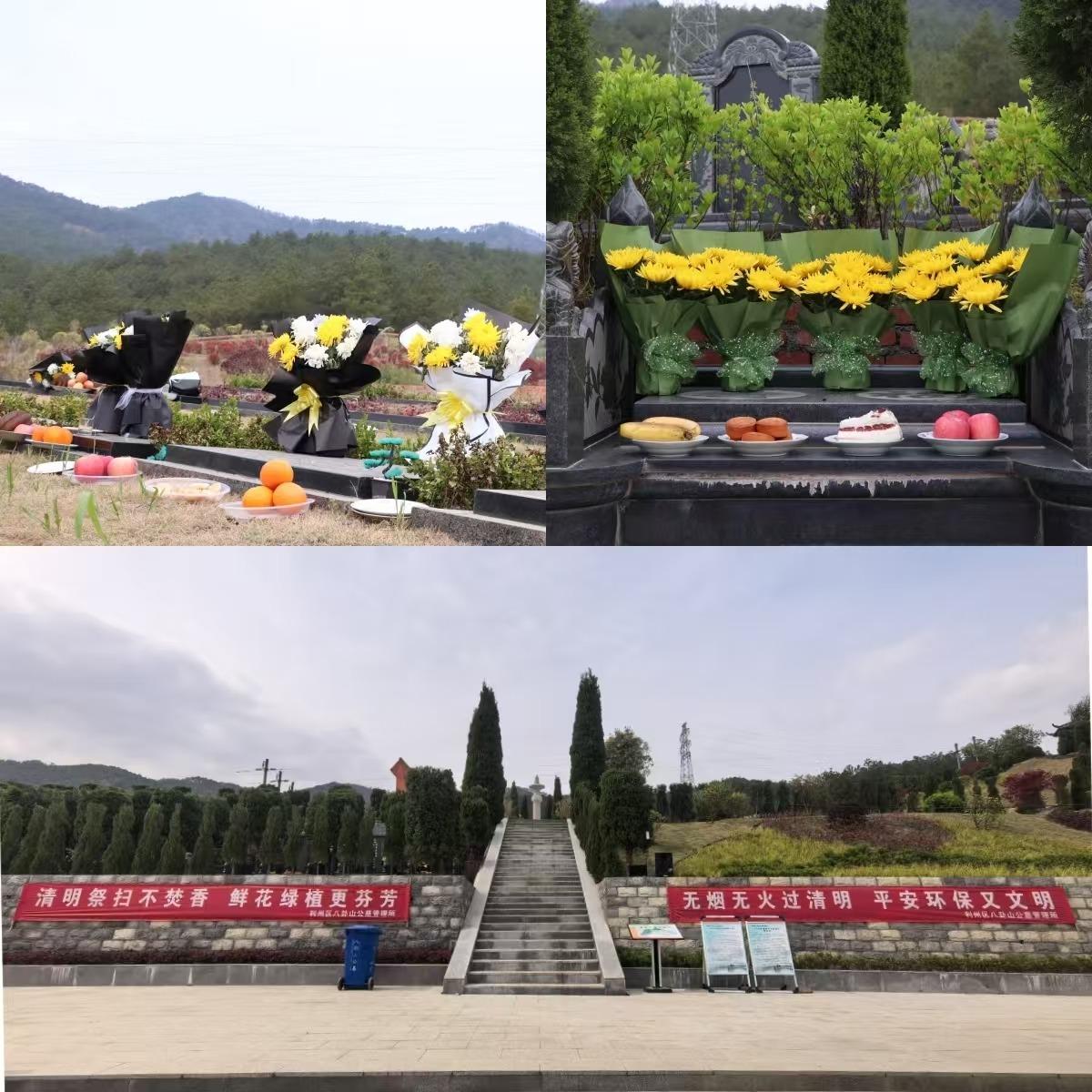 广元市利州区八卦山公墓管理所园区图片