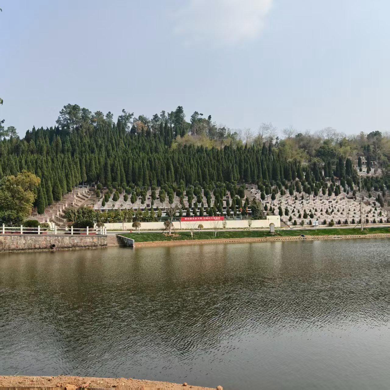 常州市凤凰山华侨公墓金鸡墓区园区图片