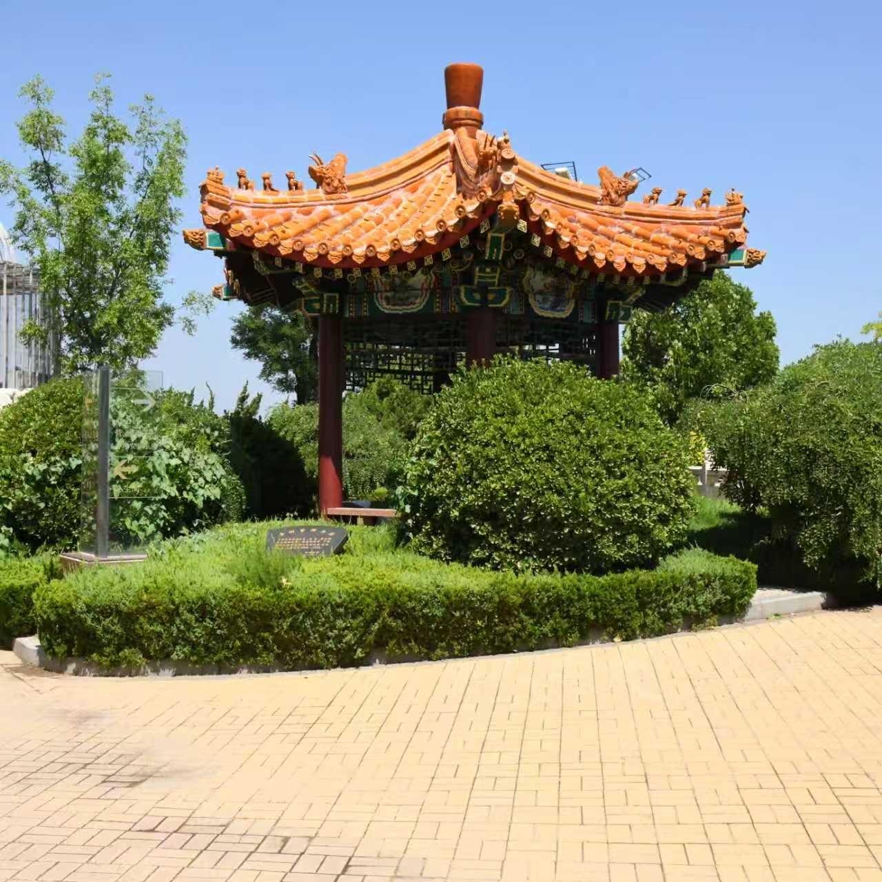 天津市西城寝园园区图片