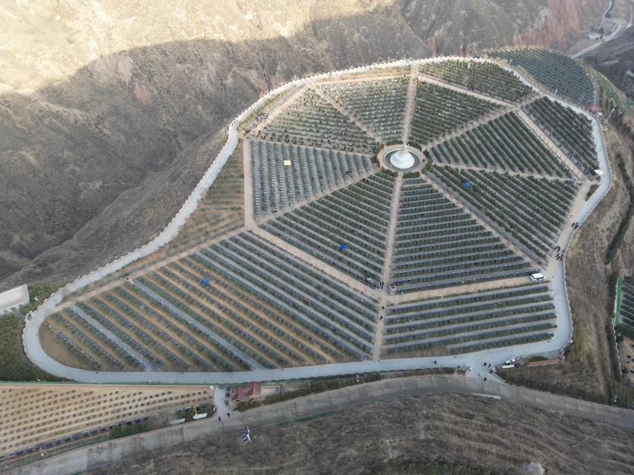 龙凤园公墓园区图片