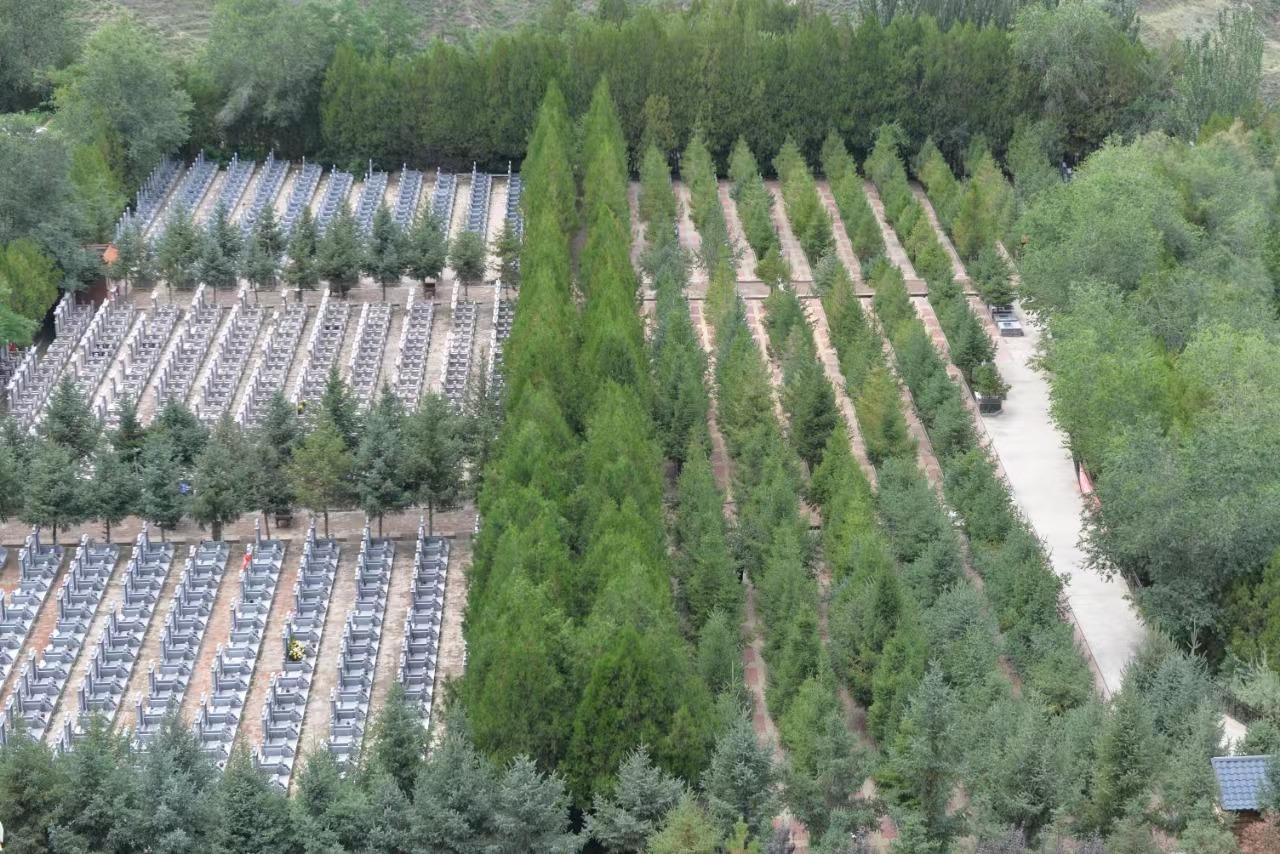 龙凤园公墓园区图片