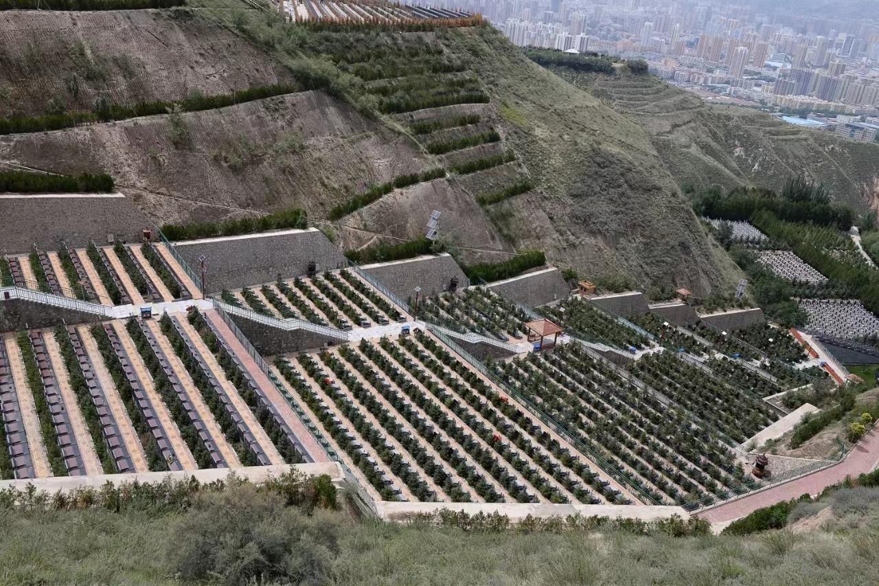 龙凤园公墓园区图片