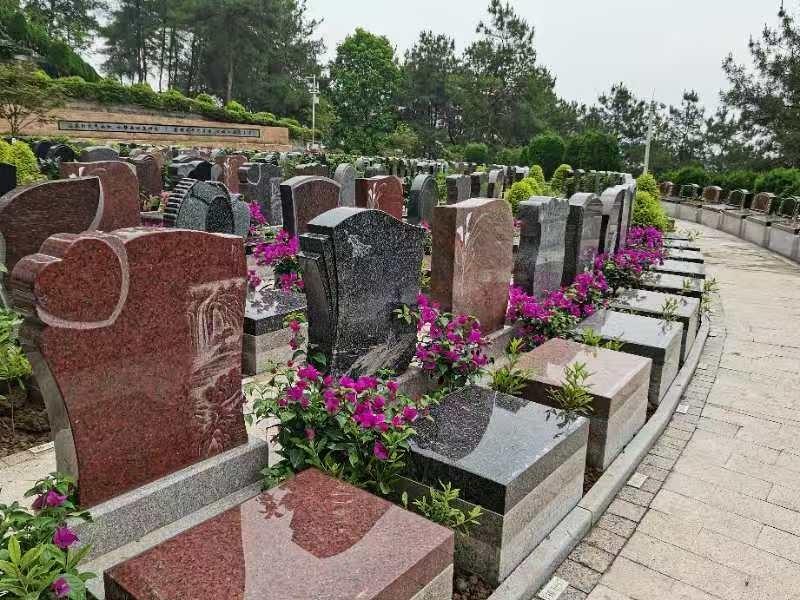 松鹤园陵园园区图片