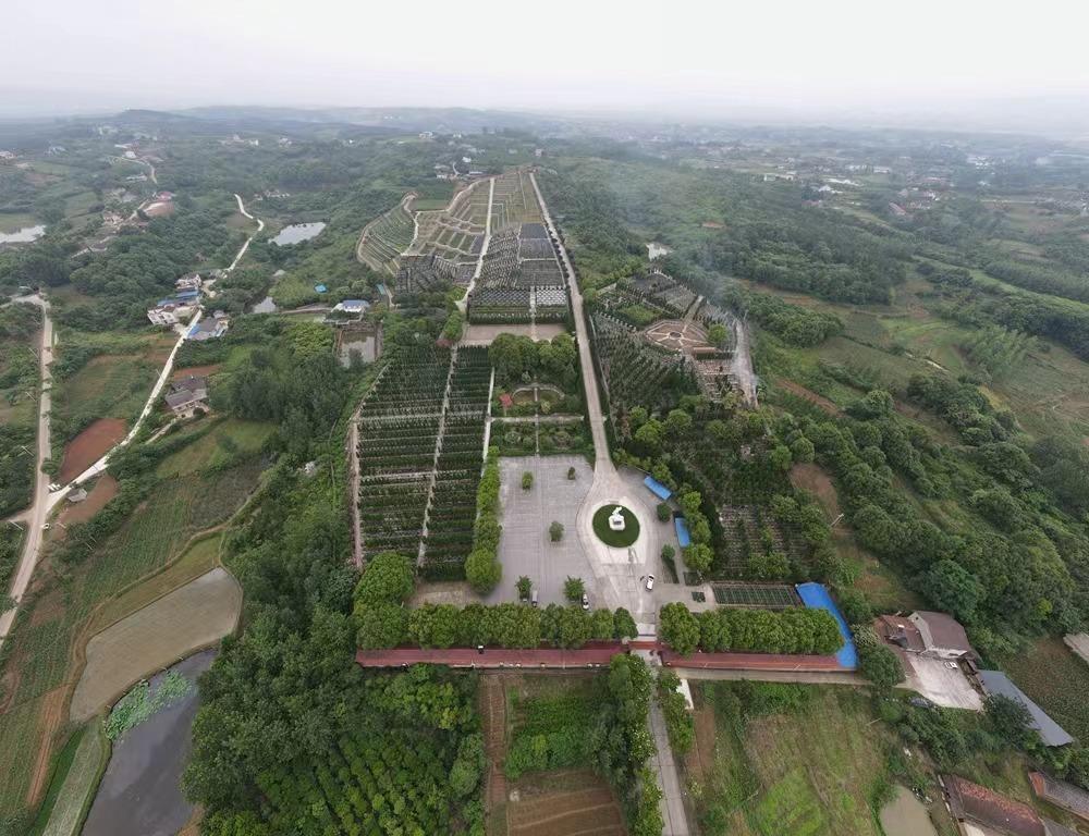 当阳市殡葬管理所(当阳市公墓管理处)园区图片