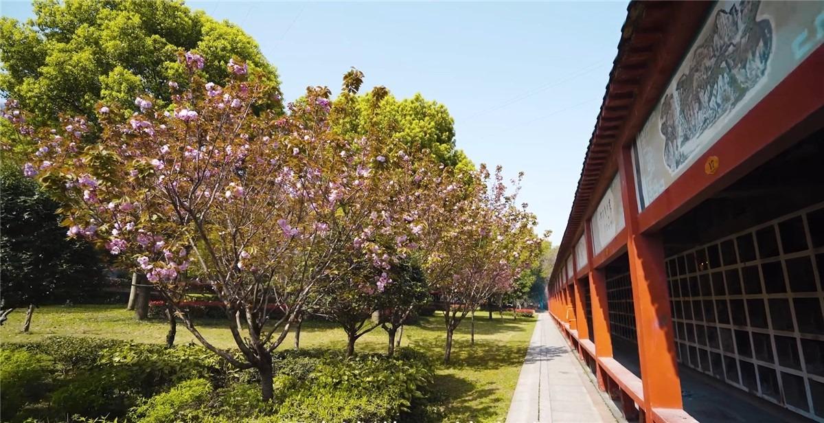 扁担山公墓园区图片