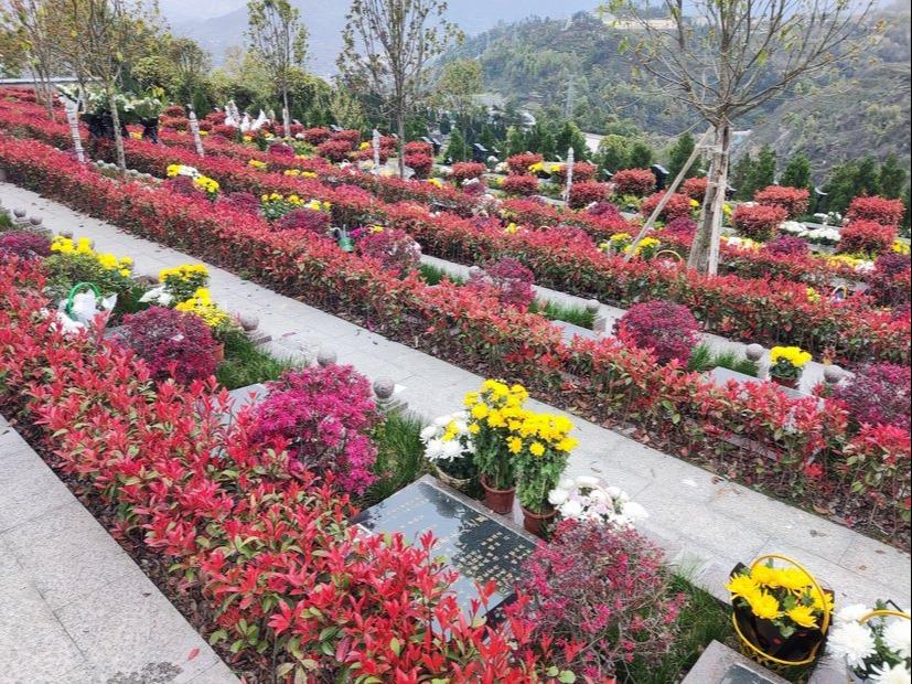 秭归县南山陵园殡葬服务有限责任公司园区图片