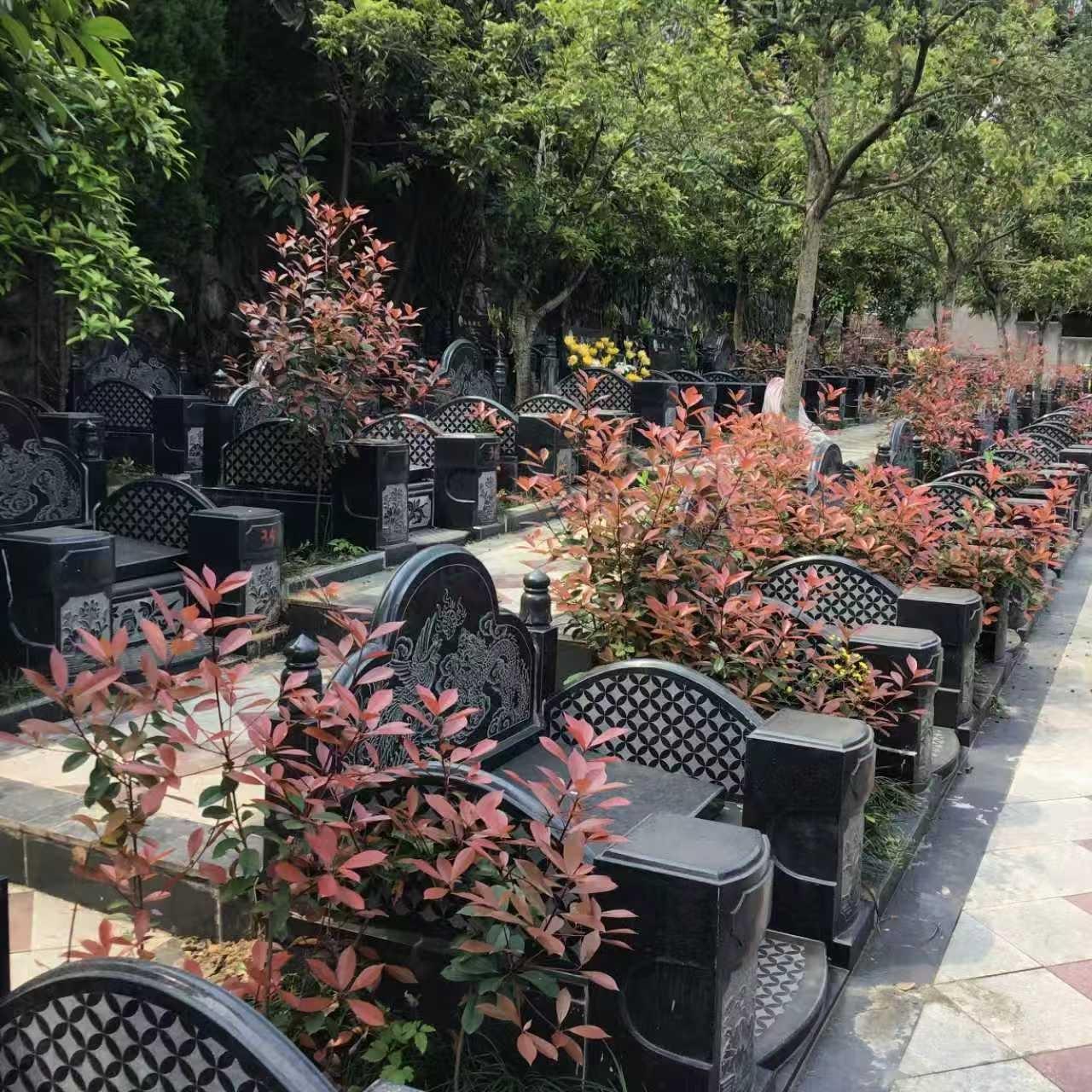 宜昌市点军区仙园公墓服务有限责任公司园区图片