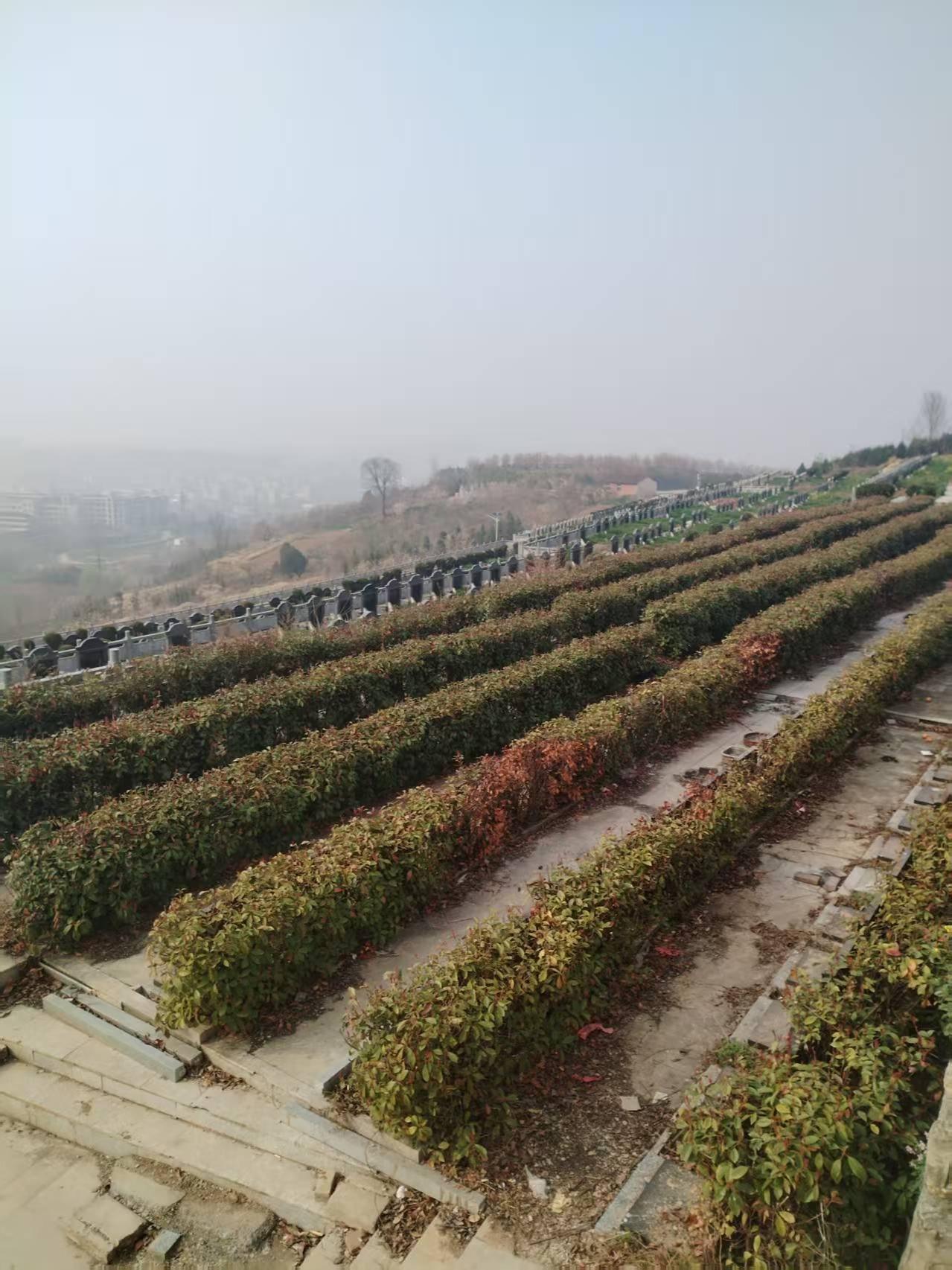 房县凤凰山生命公园公墓园区图片