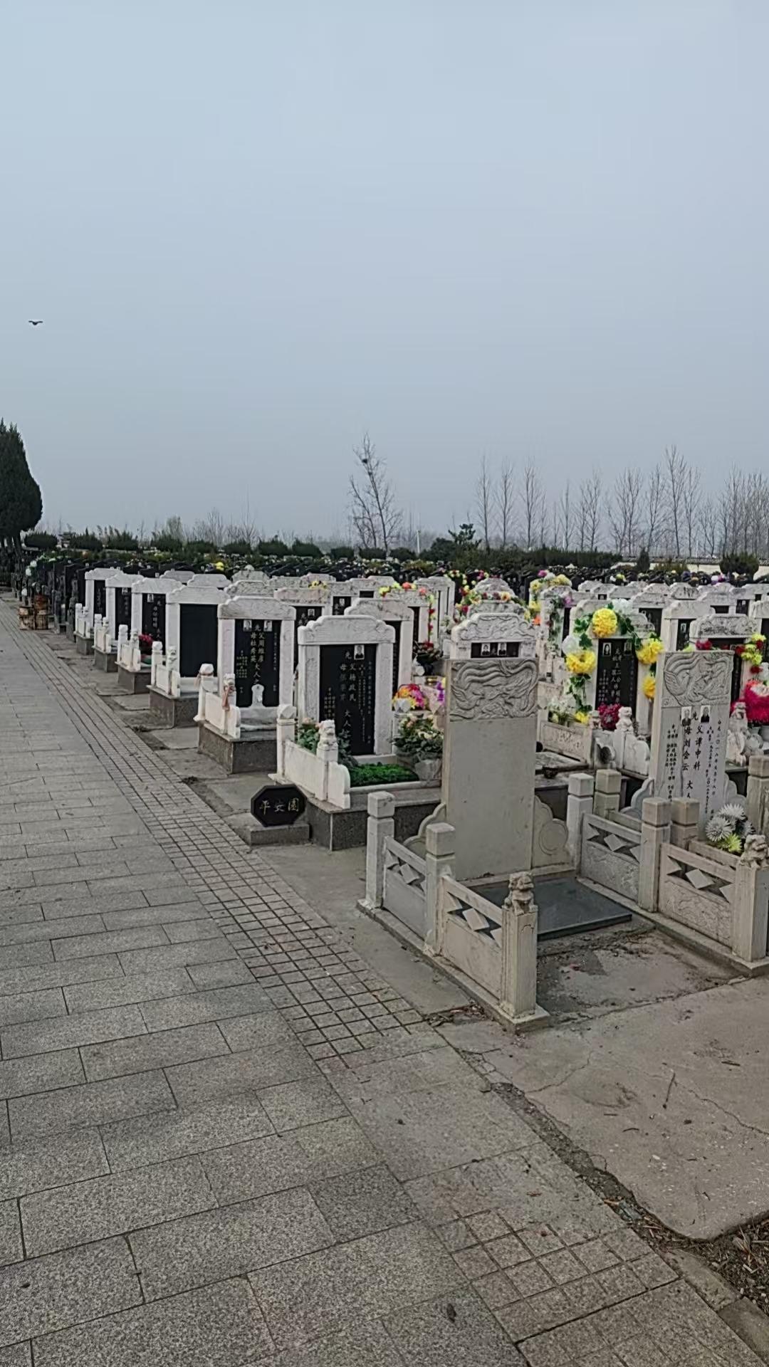 沛县龙河公墓园区图片