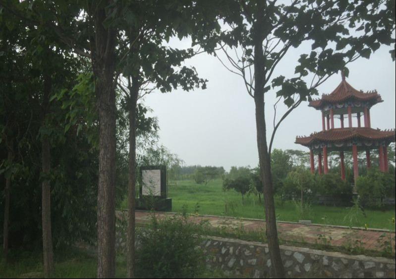 天津市德慈塔陵园区图片