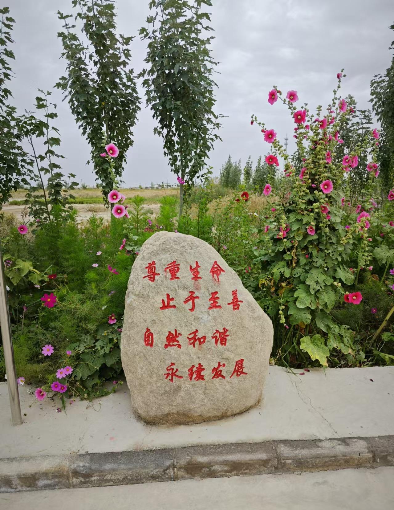 格尔木永慈公墓园区图片