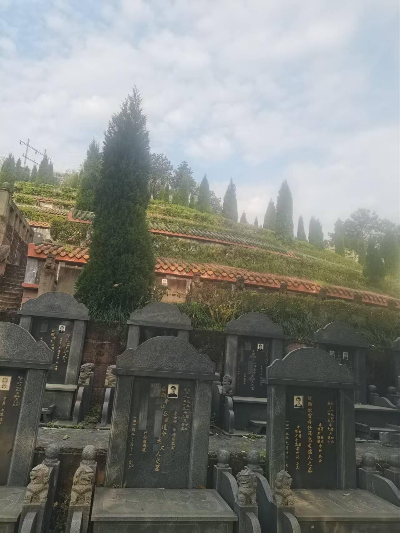 璧山区金剑山公墓园区图片