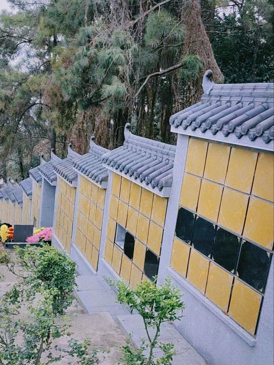 新津天社山公墓园区图片