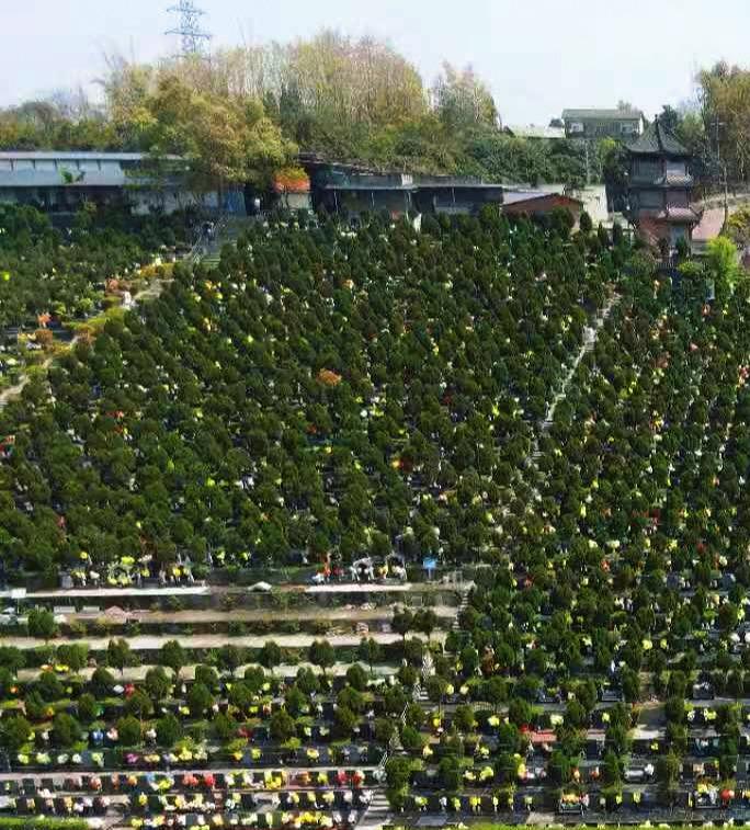 新津天社山公墓园区图片