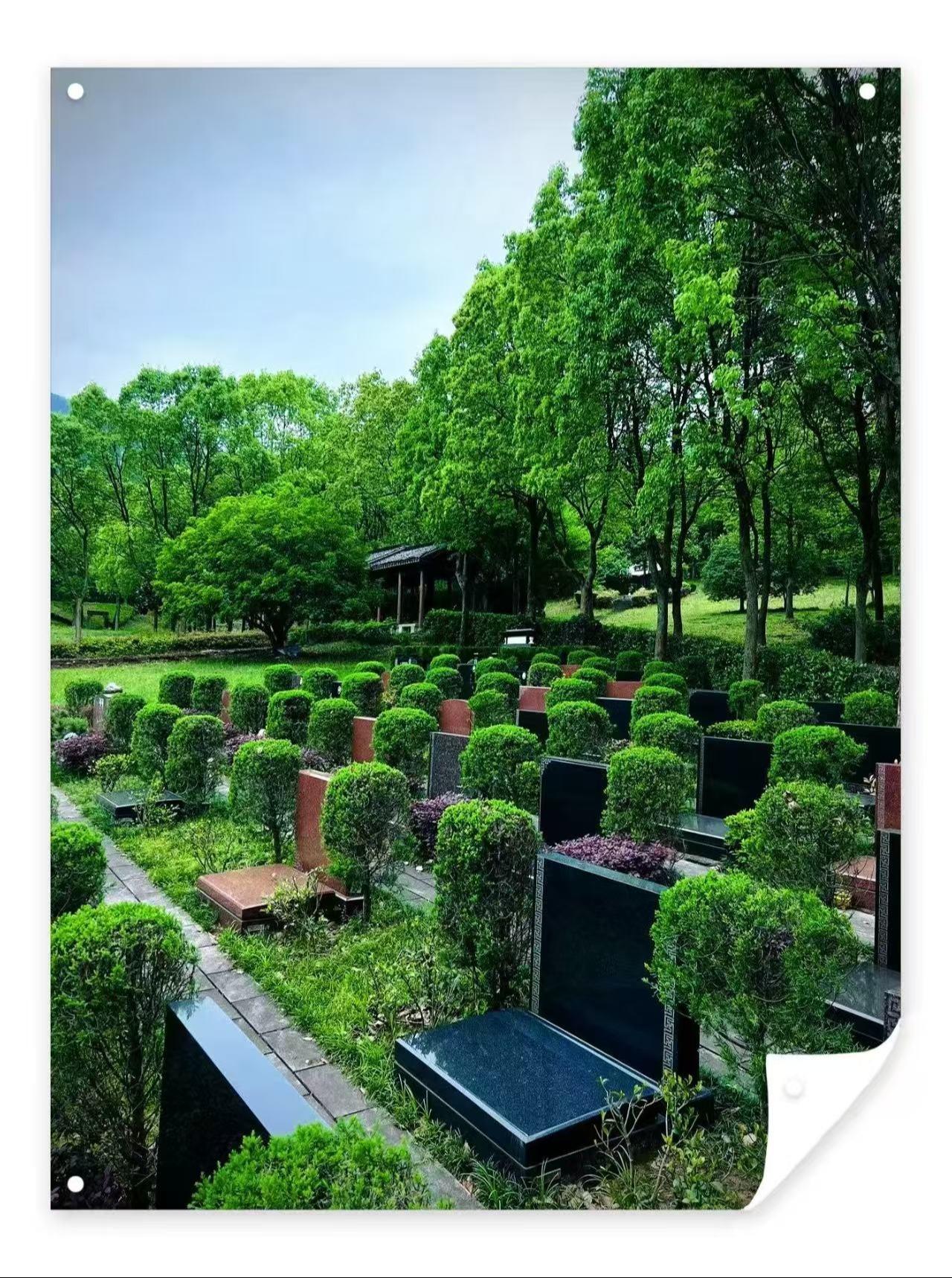 池州市九华山大愿陵园有限公司园区图片