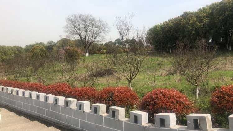 芜湖县神仙台公墓有限责任公司园区图片