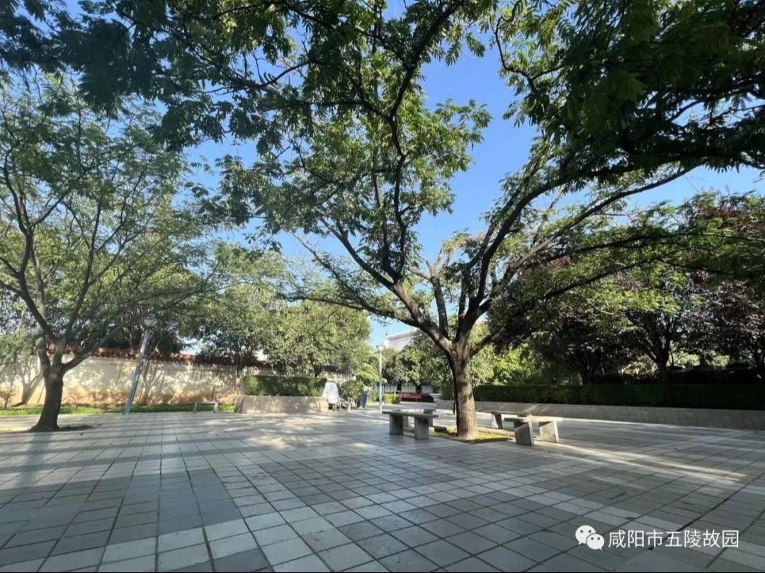 咸阳五陵故园园区图片