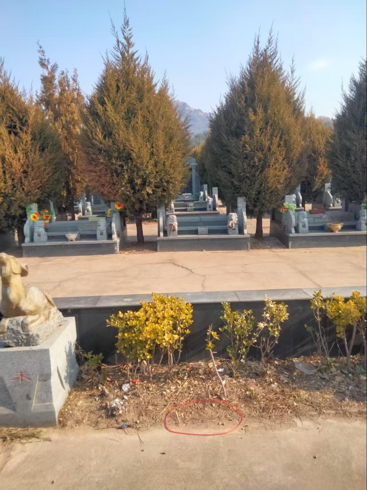 山东省临沭县滨海革命烈士陵园管理服务中心园区图片