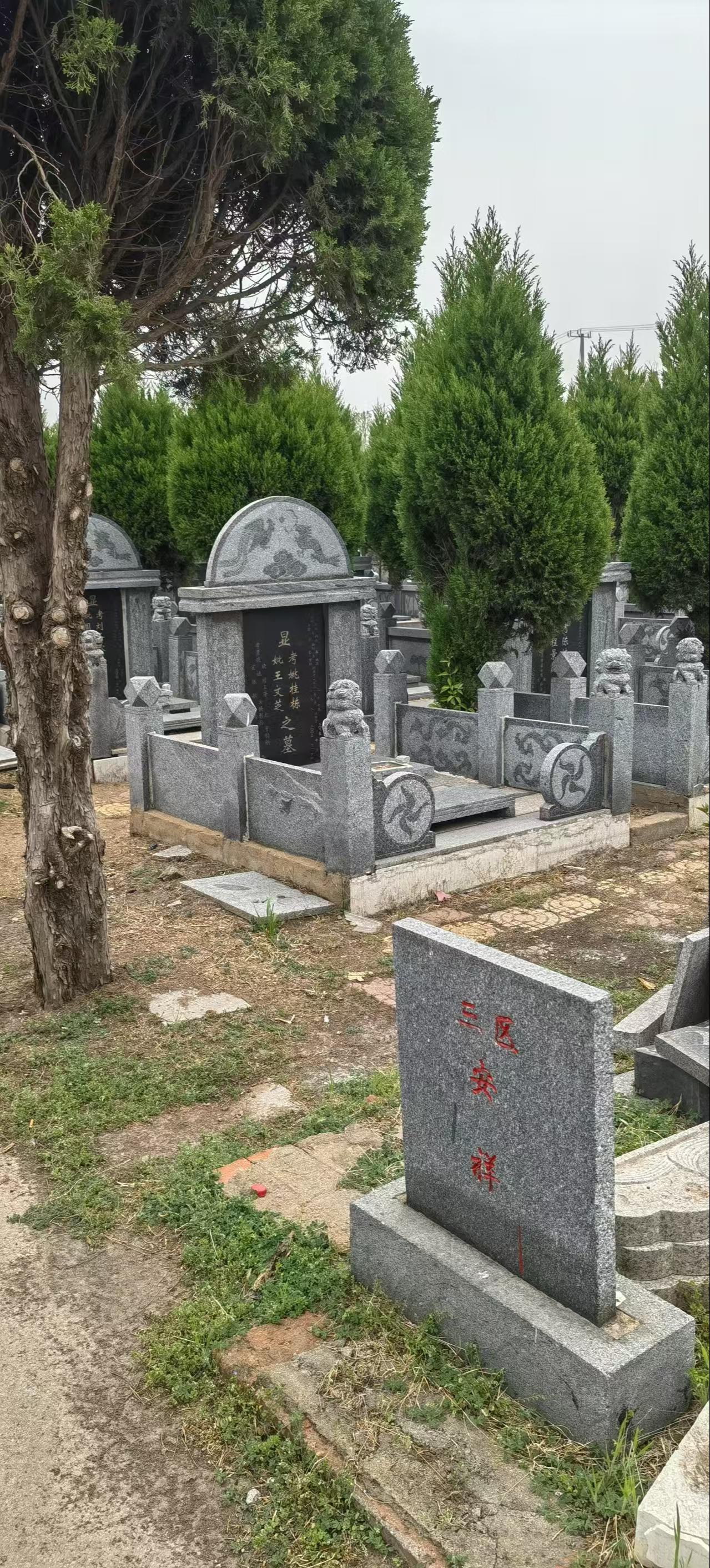 郯城县殡葬服务中心园区图片