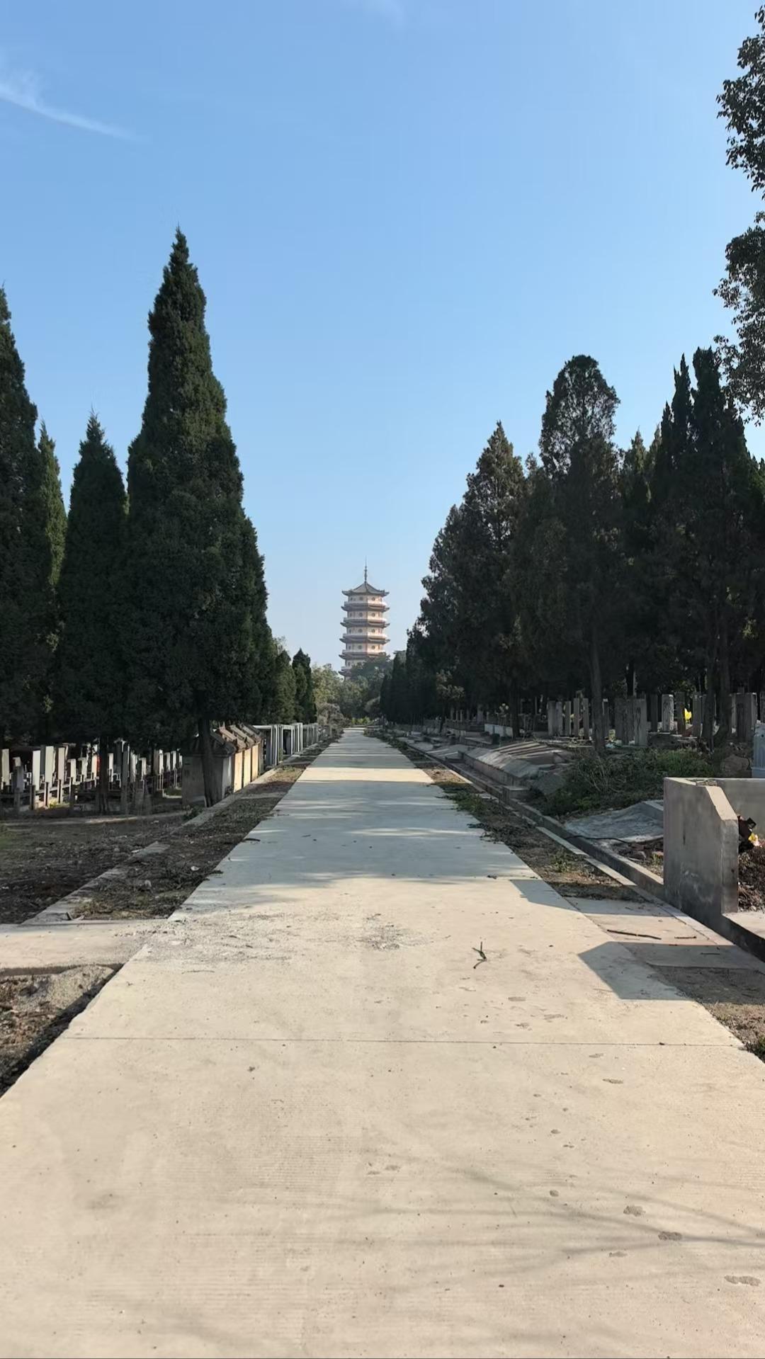 沙洋县纪山庄王公墓园区图片
