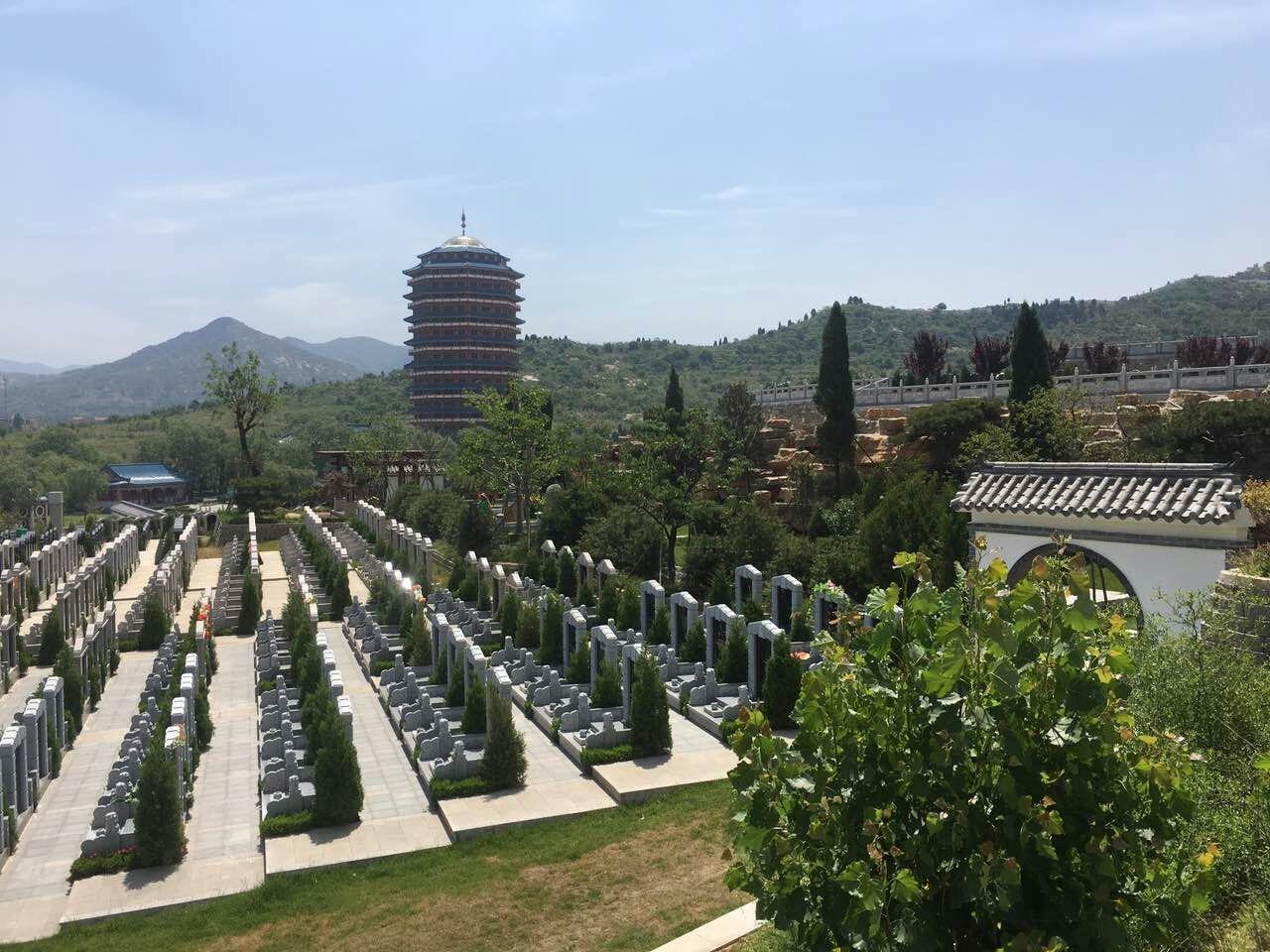 山东金陵服务有限公司园区图片