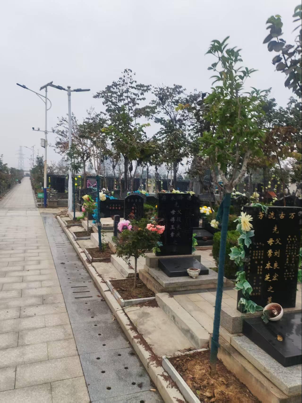 遂平县隐龙岗公墓园区图片