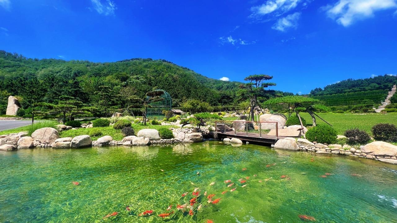 青岛福海园公益事业有限公司园区图片